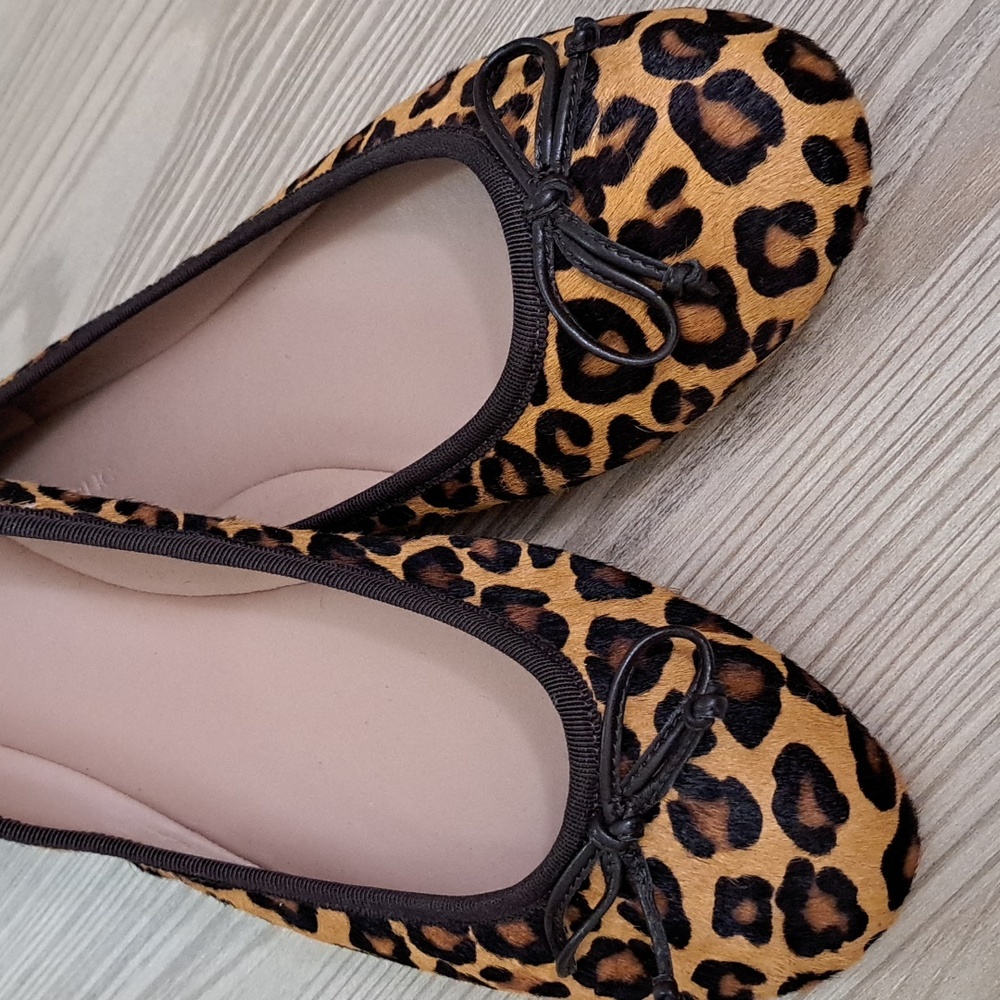 Leopard Print Ballet Flats (Bananna Republic)